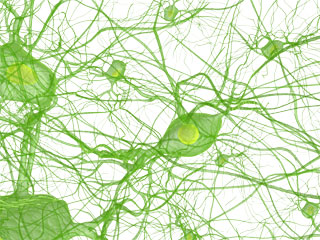 Nervensystem